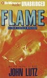 Review Brilliance Corporation  / Flame