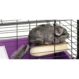 Superpet Sleep-n-Ledge
