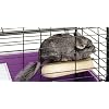 Super Pet Chinchilla Sleep-N-Ledge Habitat Attachment