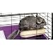 Superpet Sleep-n-Ledge