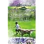 Second Chances/Love One Another (Love Inspired Classics)
