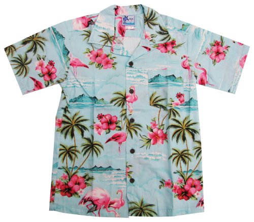 RJC Boys Pink Flamingo Hibiscus Shirt