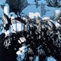 Hype - Inc Negative Creep 7 - US - BOX SET SEALED!!
