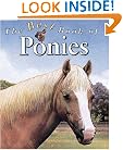 The Best Book of Ponies