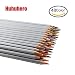 Huhuhero Marco Raffine 48 Color Pencil Set Premium Art Drawing Colored Pencils for Artist Sketch / Adults Coloring Book Writing / Drawing / Sketching RS.2303.00