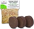 Priscillas Kitty Cat Pet Grass Seed Refill Pack and 100% Organic Soil Pods (Barley, Oats, Wheat and Rye) Over 3 Oz.