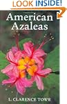 American Azaleas