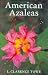American Azaleas