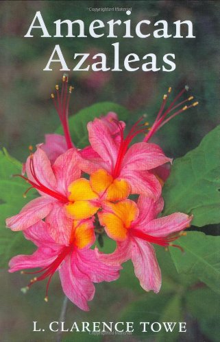 American Azaleas