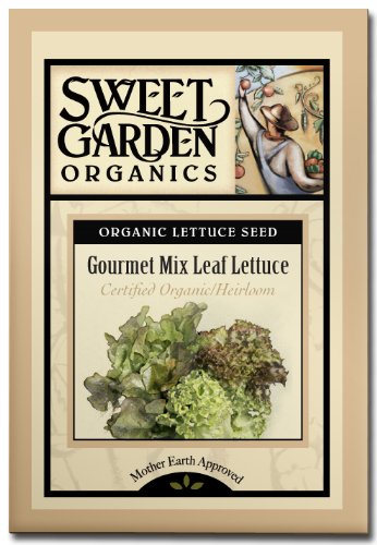 Best Price Gourmet Mix Lettuce - Certified Organic Heirloom Seeds
