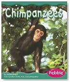 Chimpanzees (Rain Forest Animals)