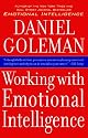 Working With Emotional Intelligence