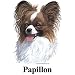 Papillon Cordial - Shot Glass