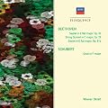 Sextet, Septet, Piano Quintet/Octet