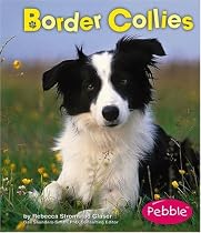 Border Collies (Dogs Library)