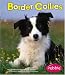 Border Collies (Pebble Books)