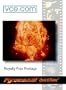 Pyromania 1 Quicktime -- Fire & Explosion Stock Footage