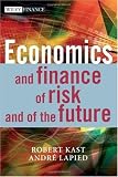 Economics and Finance of Risk and of the Future (The Wiley Finance Series)