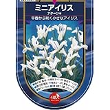 ���i�̏ڍ�