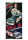 Dale Earnhardt, Jr 19 x 35 Vinyl Banner
