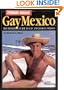 Gay Mexico (Ferrari guides)