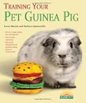 Training Your Guinea Pig