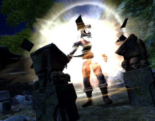 Age of Conan: Hyborian Adventures Collector's Edition image