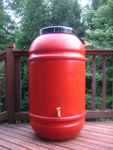 Rain Barrel