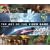 The Art of the Video Game