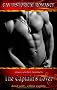 The Captain's Lover - Sklave seiner Sehnsucht: erotischer Roman