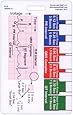 EKG Ruler Vertical Badge ID Card Pocket Reference Guide ECG