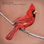 Old Crows/Young Cardinals