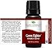 Germ Fighter Synergy Essential Oil Blend. 100% Pure, Undiluted, Therapeutic Grade. (Blend of: Lemon, Clove Bud, Cinnamon Bark, Eucalyptus, and Rosemary)