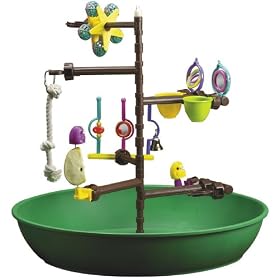 Super Pet Feathered Fun Desktop Activity Center, Pet Bird, Keet Tiel by Super Pet