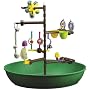 Super Pet Feathered Fun Desktop Activity Center, Pet Bird, Keet/Tiel