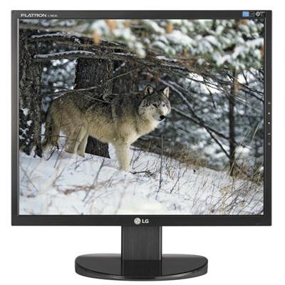 LG Electronics 19-Inch LCD Monitor (L1953TX-BF)
