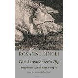 TheAstronomer'sPig