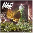 Into the Grave