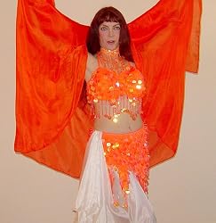 Paillette Belt or Skirt