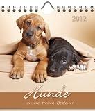 Hunde 2012