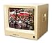Security Labs 14 Inch Color Monitor