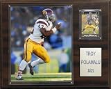 NCAA Football Troy Polamalu USC Trojans Player Plaque
