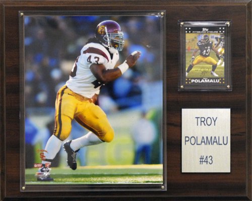 NCAA Football Troy Polamalu USC Trojans Player Plaque