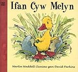Ifan cyw melyn