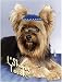 Book Pet Star Jewish New Year Cards - Yorkshire Terrier