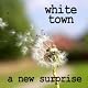 A New Surprise