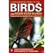 Birds (Indian Ocean & Islands)