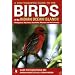 Birds (Indian Ocean & Islands)