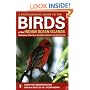 A Photographic Guide to the Birds of the Indian Ocean Islands: Madagascar, Mauritius, Seychelles, Reunion and the Comoros