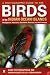 Books : A Photographic Guide to the Birds of the Indian Ocean Islands: Madagascar, Mauritius, Seychelles, Reunion and the Comoros